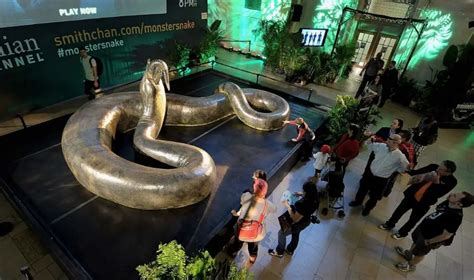 Largest Snakes Of The World Our Planet