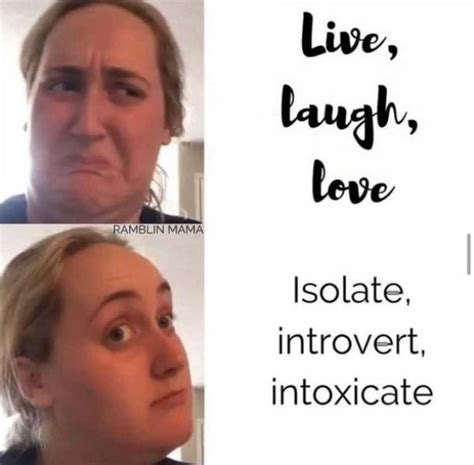 Dont Share These Introvert Memes With Anyone 32 Pics