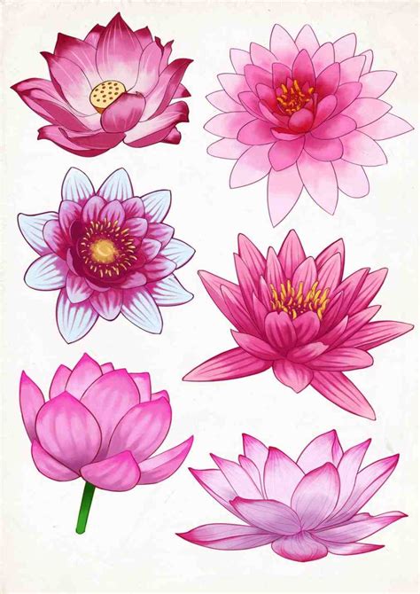 Lily Drawing Tattoo At Getdrawings Free Download