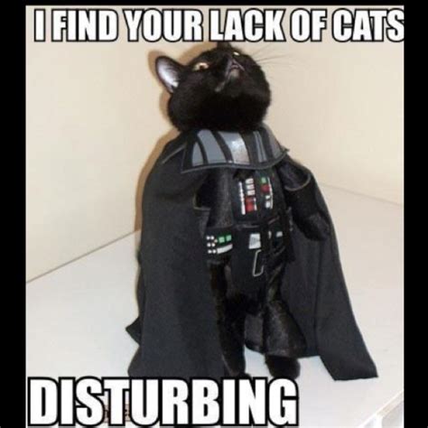 Pin By Joyfriendz On Star Wars Darth Vader Cat Funny Animals Cute Cats