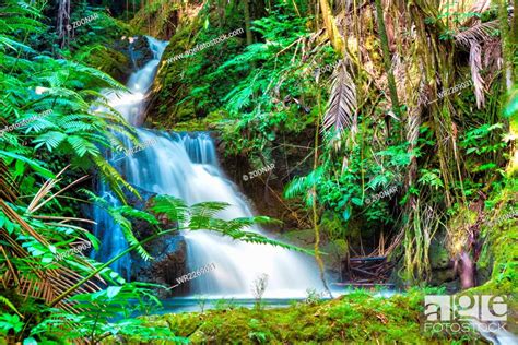 Beautiful Waterfall In Tropical Rainforest In Hawaii Stock Photo