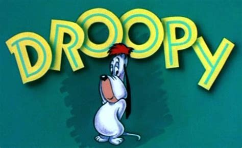 Droopy Serie De Tv Temporada Completa 40000 En Mercado Libre