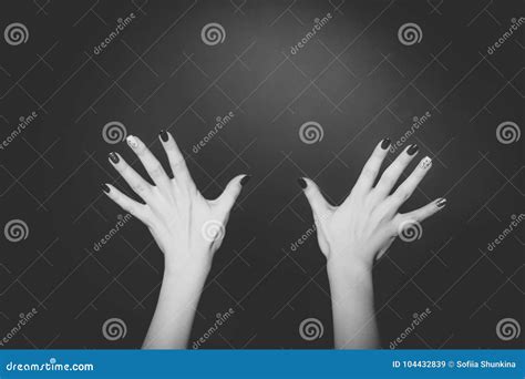 Duas Mãos Da Mulher Que Mostram Todos Os Dez Dedos Imagem De Stock Imagem De Sinal Toque