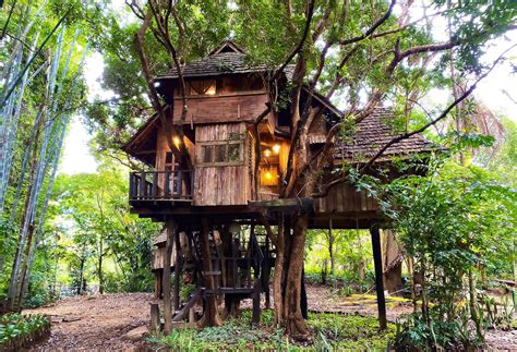 Treehouse Villas In Chiang Mai Best Nature Retreat Spots