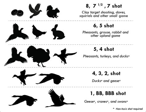 Shotgun Shot Size Chart Best Picture Of Chart Anyimage Org