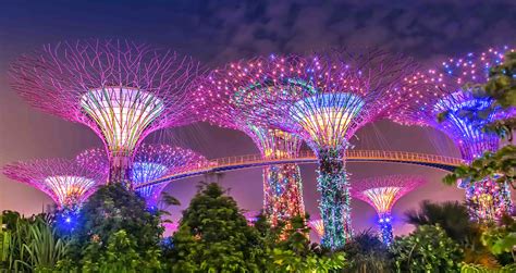 Gardens By The Bay Entrances Explained Which To Choose