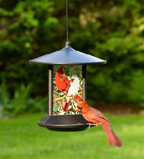 Cardinal Solar Bird Feeder Plowhearth