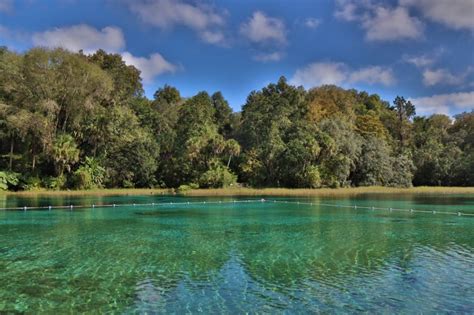 Rainbow Springs State Park Discover Breathtaking Crystal Clear Waters