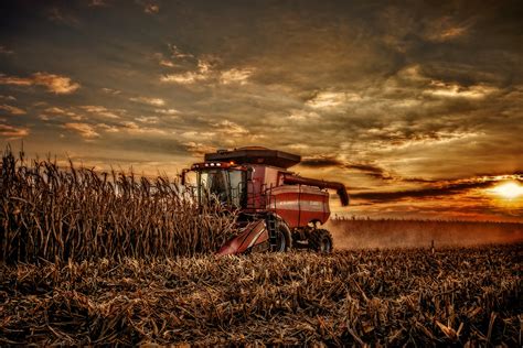 Harvest At Sunset Case Combine Picking Corn At Sunset Stevanbaird