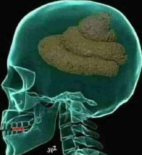 Goiy Tag A Person Whom Brain Is Full Of Shit 😤 Facebook
