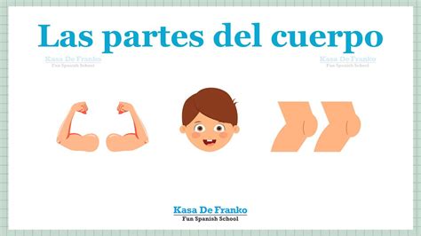Body Parts In Spanish Las Partes Del Cuerpo En Español Kasa De