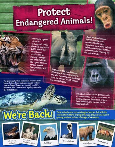 Protect Endangered Animals Cheap Chart Carson Dellosa Publishing