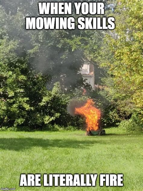 The experts time their work to complement the natural growth cycles of regional grasses, so they work with nature, not against it. 42 Lawn Care Memes & Jokes - the Ultimate 2020 Meme Collection