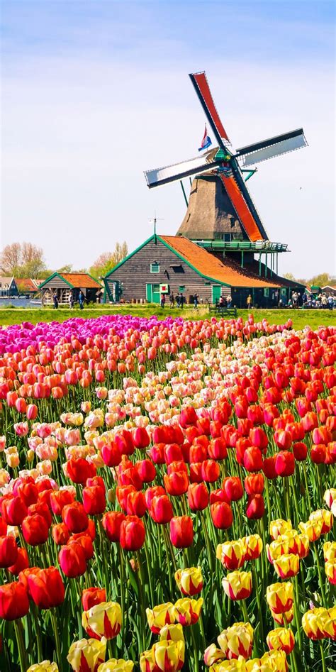 Amsterdam Netherlands Paisajes De Holanda Lugares Maravillosos