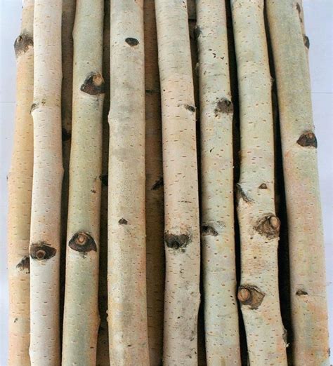 Decorative Birch Logs ~ Tsartndesign