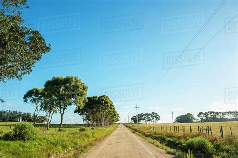 A Dirt Road In The Countryside Laguna De Rocha Uruguay Stock Photo