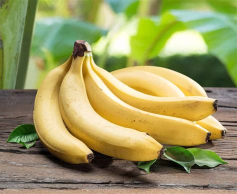 13 Different Types Of Bananas Popoptiq