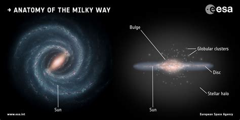 The Merger That Led To The Formation Of The Milky Way