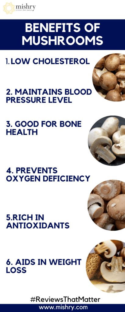 14 Proven Health Advantages Of Eating Mushroom Daily How To Ripe