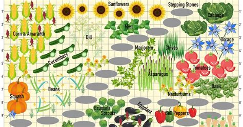 Garden Companion Planting The Complete Guide Hydrobuilder Learning