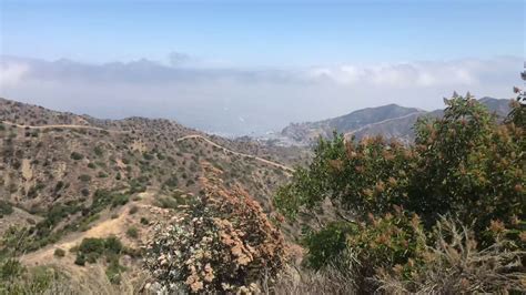 Bbq facilities and camping supplies are available for rental. Hermit Gulch Catalina Island Hiking - YouTube