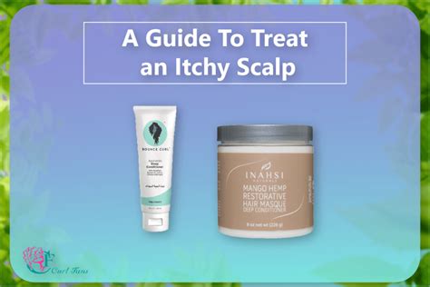 A Guide To Treat An Itchy Scalp A Center For Curly Hair