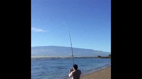 Maui Shore Fishing Youtube