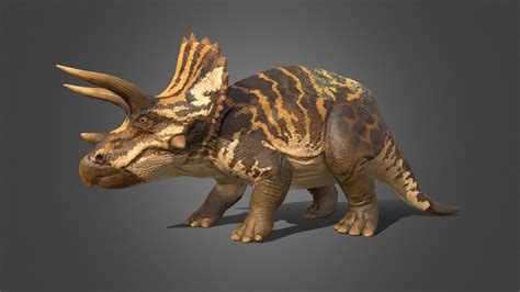 Triceratops 3d Model By Pxltiger D16aabe Sketchfab