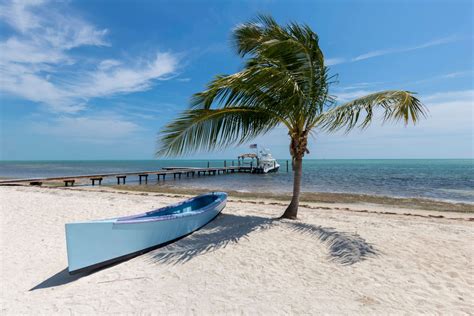 Remarkable Experiences You Can Only Have In Key Largo Florida Keys