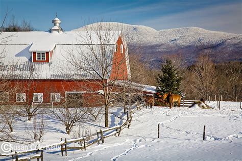 Horse Farm And Mount Mansfield Susan Cole Kelly Photography