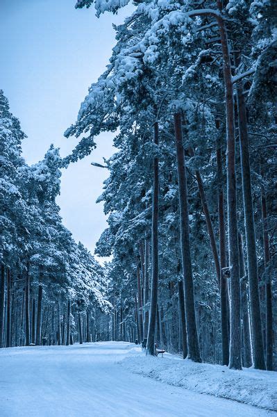 Juha Sompinmäki Photography Winter Scenes Winter Scenery Tampere