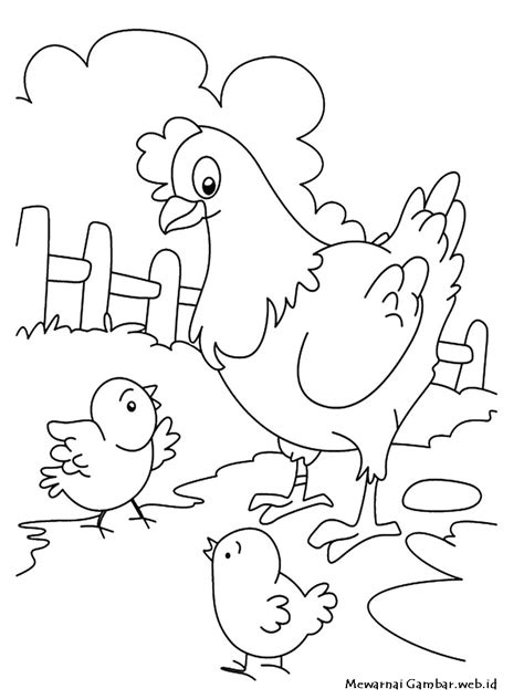 Apalagi kalau gambar mewarnai nya sudah siap. Mewarnai Gambar Ayam | Mewarnai Gambar