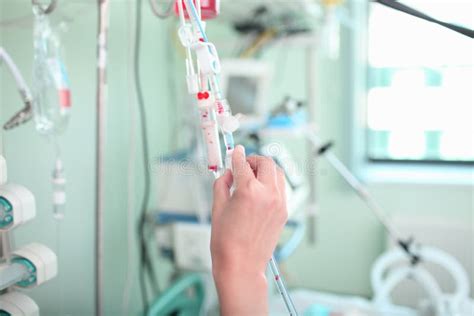 Nursing Care Of Critically Ill Patients In The Icu Stock Photo Image