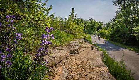 Expanded Gravois Greenway Opens in St. Louis - Terrain Magazine