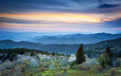 Nc Blue Ridge Parkway Landscape In Spring Blue Hour Blossoms By Dave