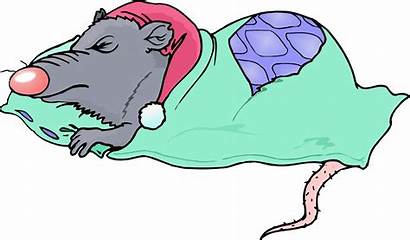 Rat Cartoon Clipart Bed Person Sleeping Mouse