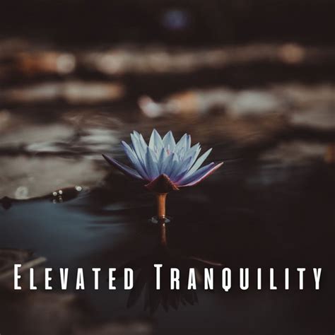 Elevated Tranquility Chill Music For Guided Meditation Album By