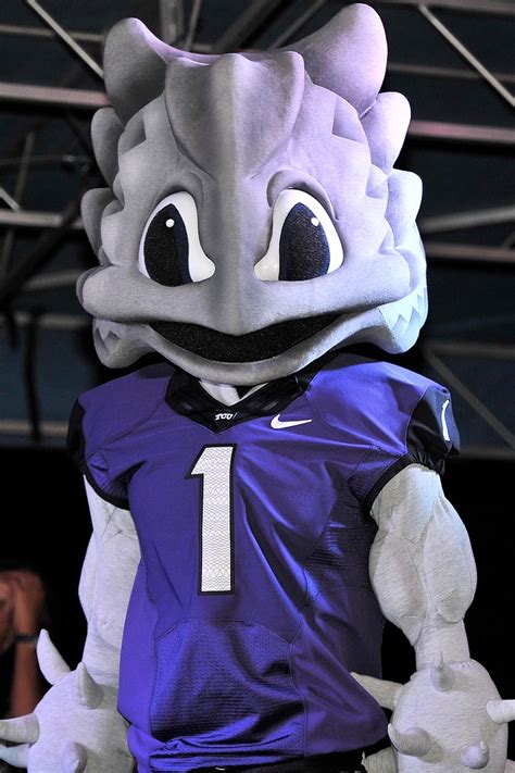 The Tcu Horned Frog At Tcus Midnight Welcome Bash On July 1 2012
