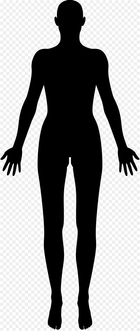 Homo Sapiens Silhouette Human Body Clip Art Human Body Png Download