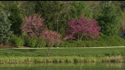 Morton Arboretum Welcomes 1 Million Visitors In 2015 Abc7 Chicago