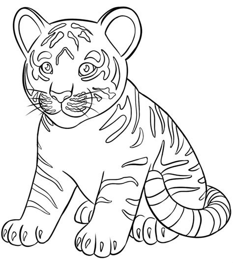50 Desenhos De Tigre Para Colorir Pop Lembrancinhas