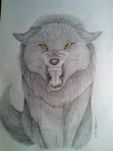 Growling Wolf Front View By Majicjumper On Deviantart