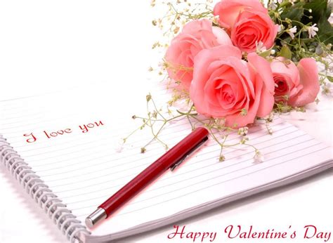New Pictures2012 Pink Rose Valentines Day Ecards