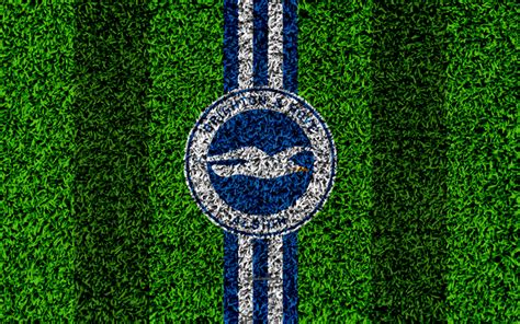 Download Wallpapers Brighton And Hove Albion Fc 4k Football Lawn