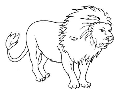 Wild Animals Coloring Pages Free Printable Download Animal Coloring