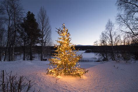 December In Ricklundgården In Southern Lapland Boris Schaarschmidts News