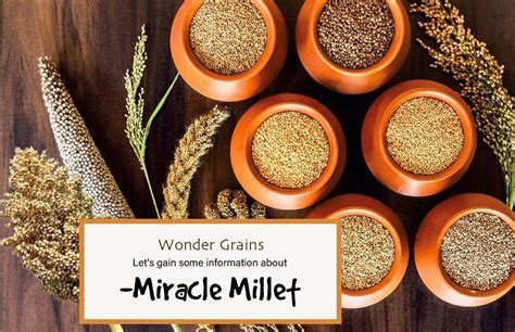 Wonder Grains Miracle Millets Organic Positive