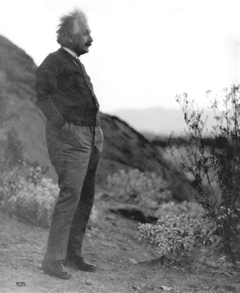 Palm Springs The Willows Genius At Play Einstein Biografia De
