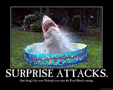 shark attack funny quotes quotesgram