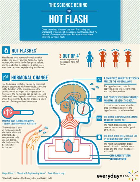 Science Behind The Hot Flash